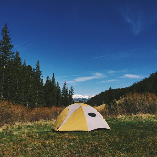 Découvrez le camping golfe de saint tropez au domaine de miremer