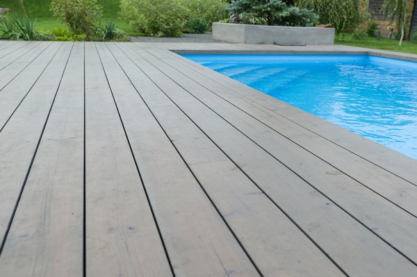 Les graminées idéales pour embellir votre piscine