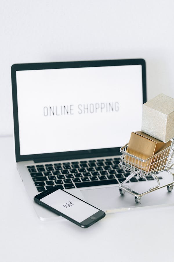 Découvrez le thème shopify qui simplifie votre e-commerce
