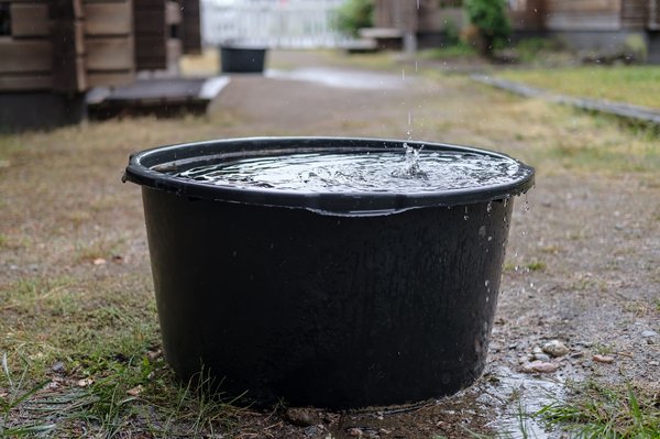 Récupérateur d'eau de pluie : un investissement durable pour tous
