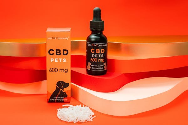 Trouver le dosage parfait de cbd pour votre chien facilement